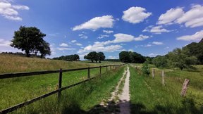 Feldweg durch Felder mit blauem Himmel